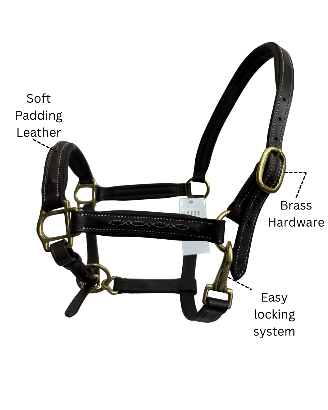 Van Jans Anatomical Leather Halter with Brass Hardware