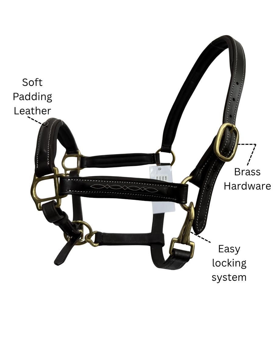 Van Jans Anatomical Leather Halter with Brass Hardware