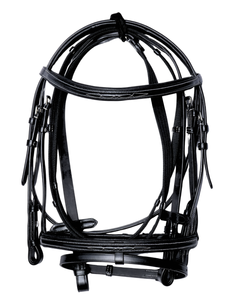 Van Jans Classic Fancy-Stitched Leather Bridle with Flash Noseband and Reins