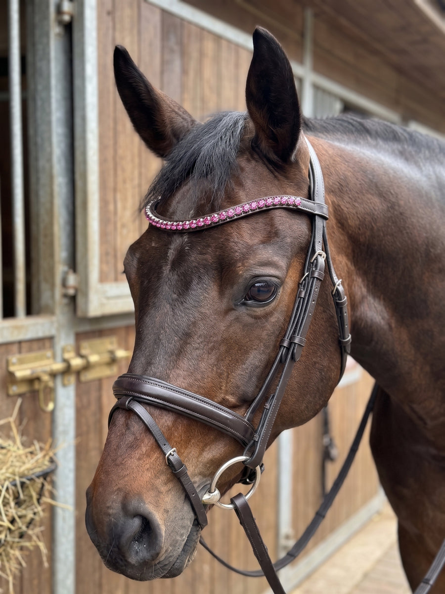 Van Jans Pink Browband