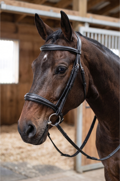 Van Jans Anatomical Fancy-Stitched Jump Bridle with Flash Noseband