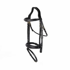 Van Jans Anatomical Fancy-Stitched Jump Bridle with Flash Noseband