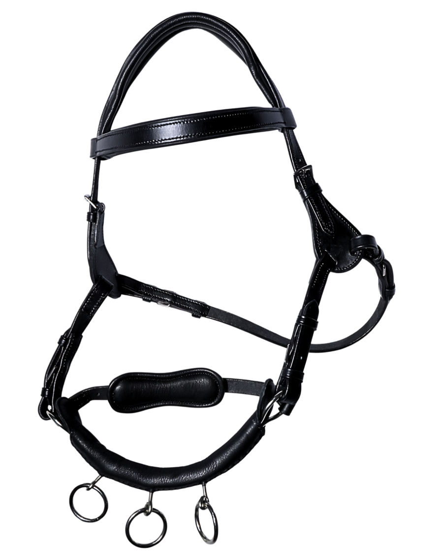 Van Jans Premium Leather Cavesson Bridle with Integrated Lungeing Rings