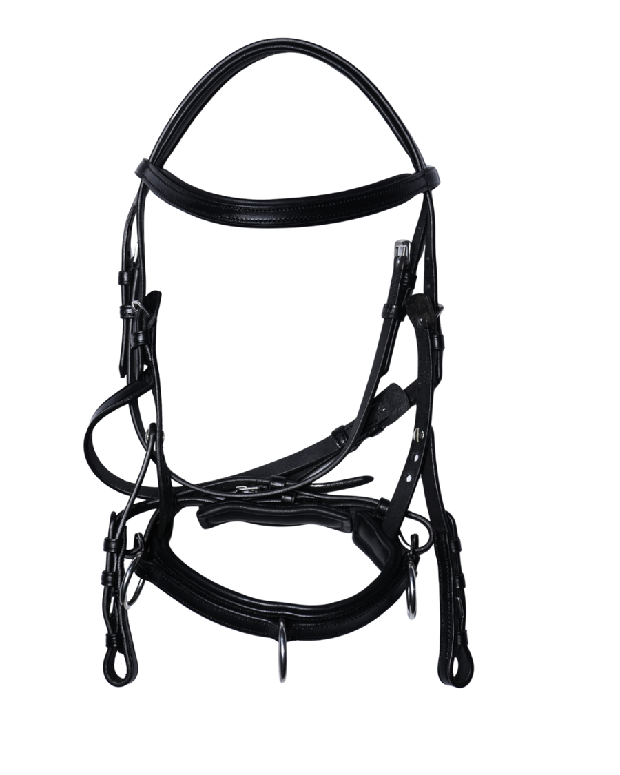 Van Jans Anatomical 3-in-1 Bridle and Cavesson Combo