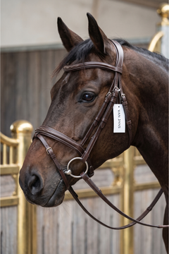 Van Jans Classic Fancy-Stitched Leather Bridle with Flash Noseband and Reins