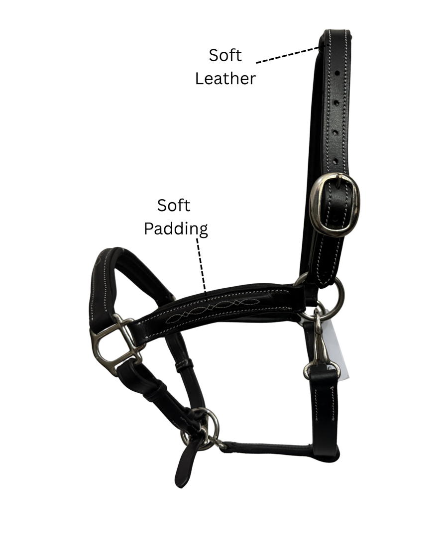 Van Jans Fancy-Stitched Halter with Silver Hardware